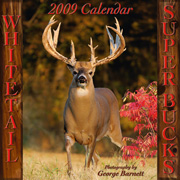 Deer Calendar