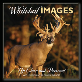 Whitetail Pictures and Photography by George Barnett