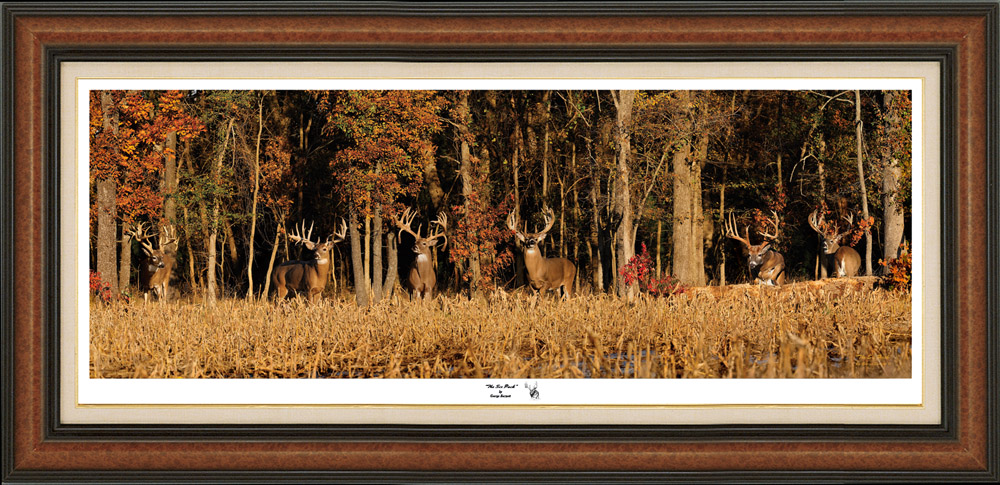The Six Pack - The New Print Release from Photographer George Barnett