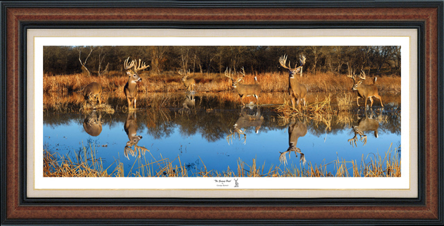 The Swamp Pack - The New Print Release from Photographer George Barnett