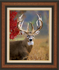 To Order This Print, e-mail George Barnett