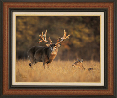 To Order This Print, e-mail George Barnett