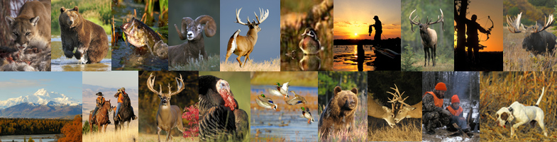 Wildlife Stock Photography for the Hunting, Fishing and Outdoor Industry
