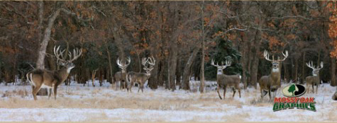 Enter Coupon Code BARNETT to Receive a 10% Discount when ordering