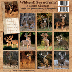 Whitetail Super Bucks 2012 Calendar- Available in August 2011