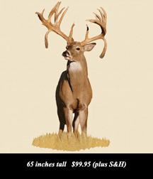 use Coupon Code BARNETT to receive a 10% Discount on your purchase