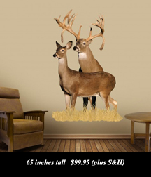 use Coupon Code BARNETT to receive a 10% Discount on your purchase