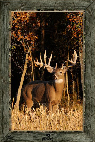 use Coupon Code BARNETT to receive a 10% Discount on your purchase