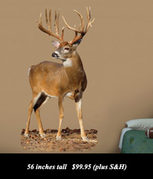 use Coupon Code BARNETT to receive a 10% Discount on your purchase