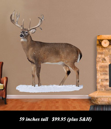 use Coupon Code BARNETT to receive a 10% Discount on your purchase