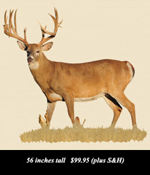 use Coupon Code BARNETT to receive a 10% Discount on your purchase