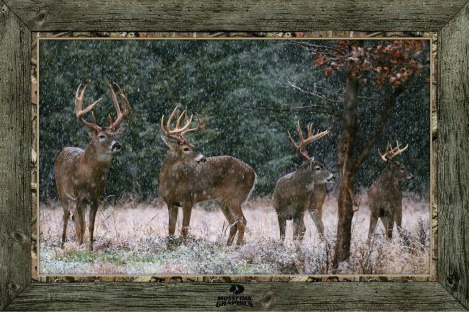 use Coupon Code BARNETT to receive a 10% Discount on your purchase