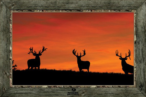 use Coupon Code BARNETT to receive a 10% Discount on your purchase