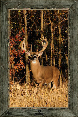 use Coupon Code BARNETT to receive a 10% Discount on your purchase