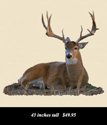 use Coupon Code BARNETT to receive a 10% Discount on your purchase