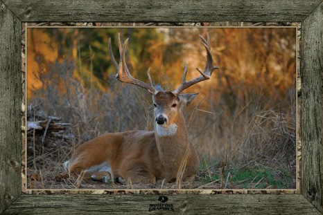 use Coupon Code BARNETT to receive a 10% Discount on your purchase