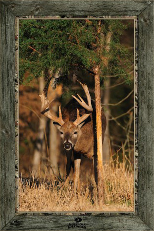 use Coupon Code BARNETT to receive a 10% Discount on your purchase