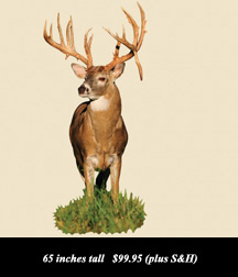 use Coupon Code BARNETT to receive a 10% Discount on your purchase