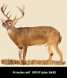 use Coupon Code BARNETT to receive a 10% Discount on your purchase