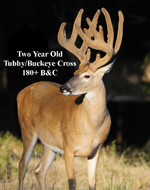 180 Class Typical 2 Year Old