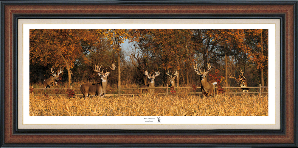 The Six Pack - The New Print Release from Photographer George Barnett